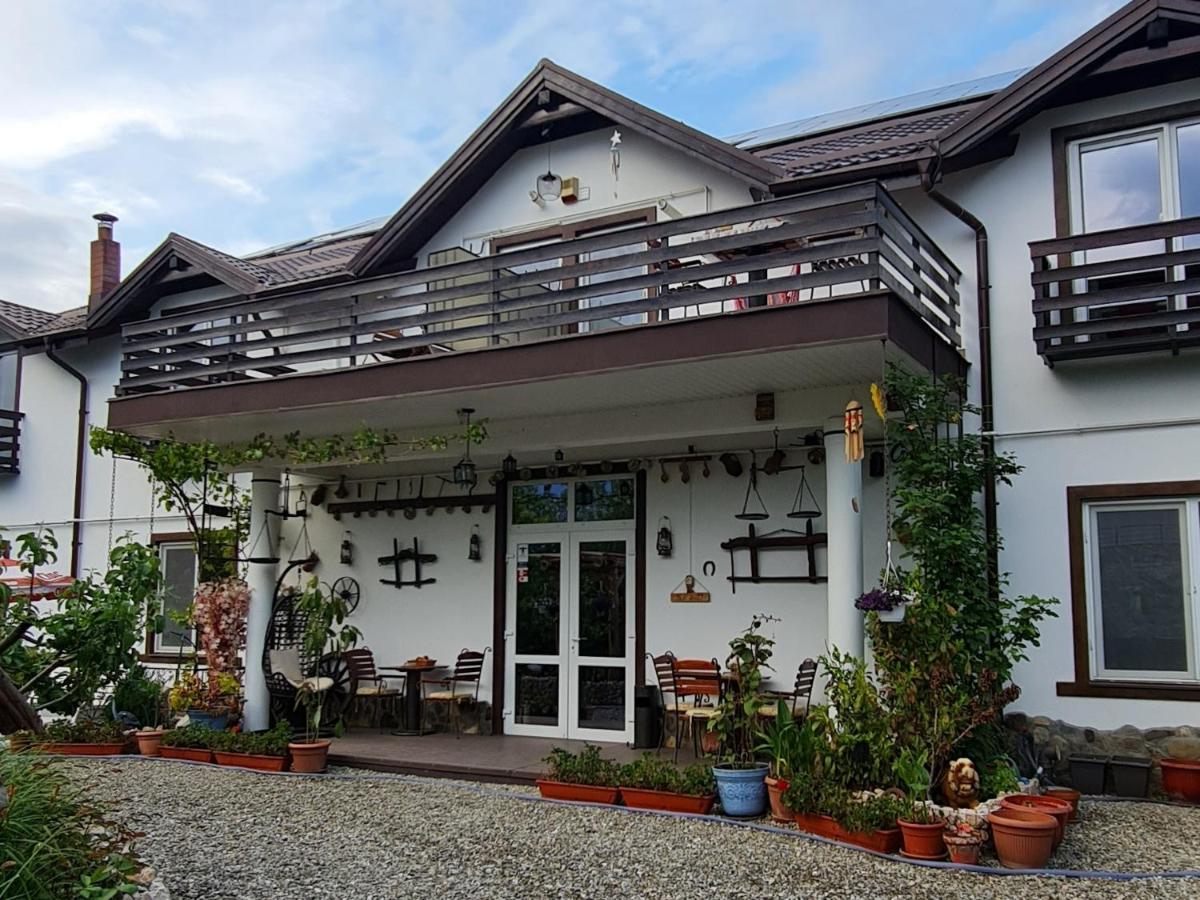 Casa Aryan Apartment Sînpetru Exterior photo
