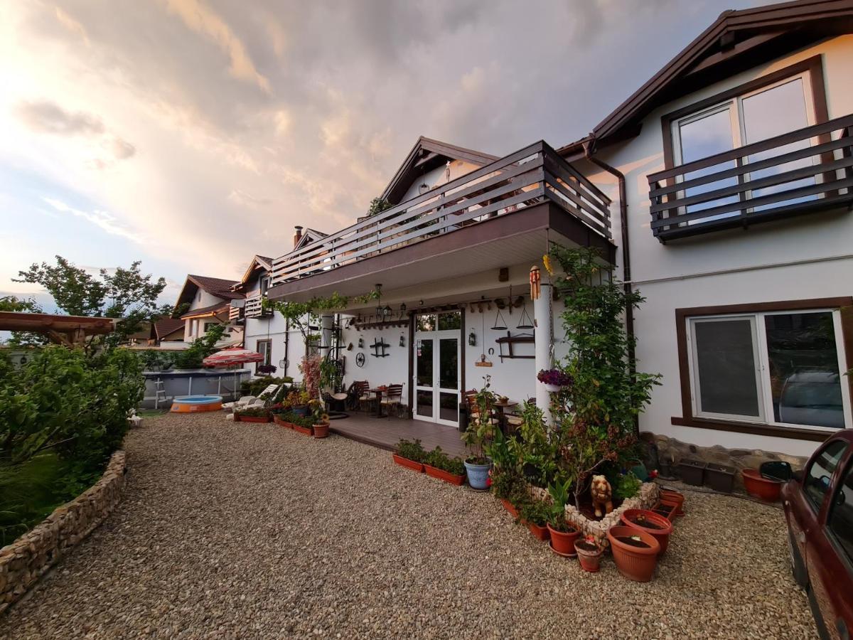 Casa Aryan Apartment Sînpetru Exterior photo