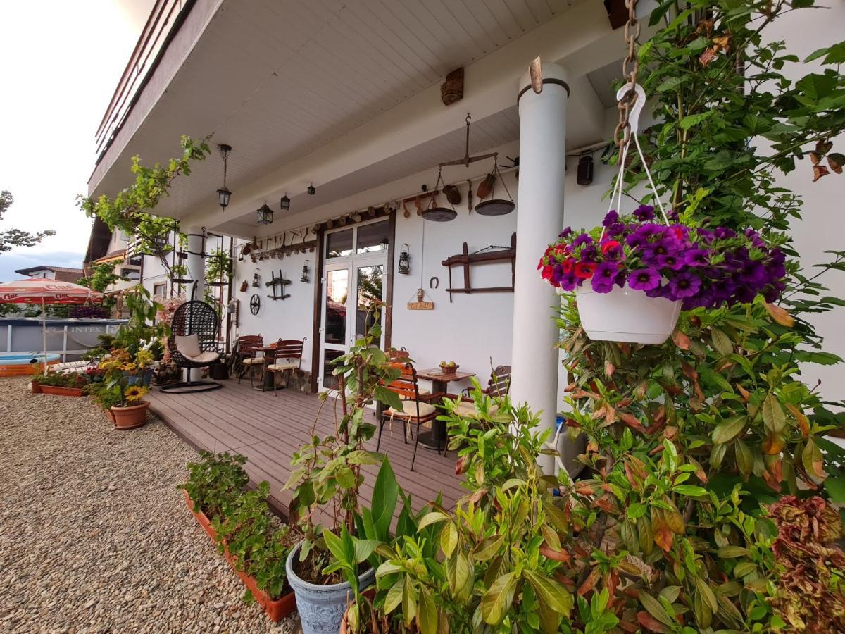 Casa Aryan Apartment Sînpetru Exterior photo